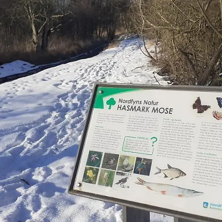 לינה וארוחת בוקר Cozy Tiny Room, Mini Kitchen And Bathroom