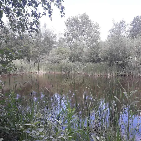 Cozy Tiny Room, Mini Kitchen And Bathroom 3* אוטרופ